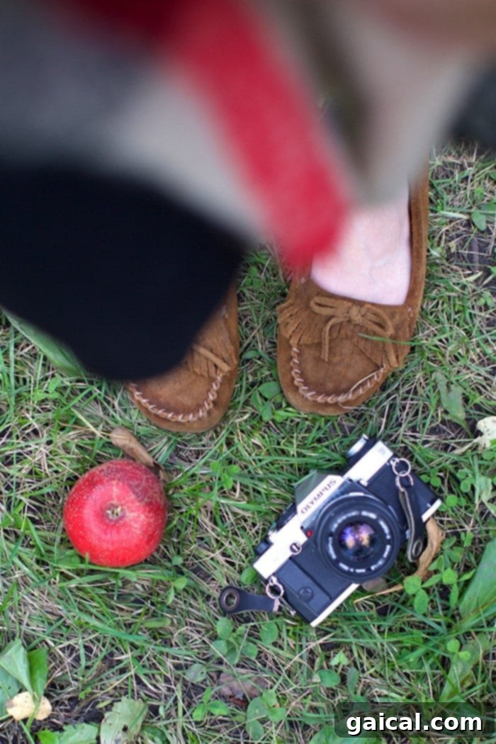 Girls Day Out at Minnetonka Orchards Minnesota 4 Minnesota Series- Minnetonka Orchards with the Girls