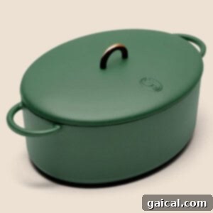 A high-quality Dutch oven on a plain background.