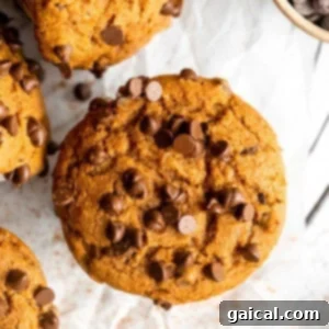 Cozy Pumpkin Spice Muffins 8 A close-up of freshly baked pumpkin chocolate chip muffins cooling on a wire rack, showcasing their perfectly risen, golden-brown tops.