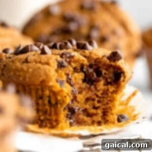 A close-up of a pumpkin chocolate chip muffin with a bite taken out, showing its moist, tender interior and melted chocolate chips, indicating its deliciousness.