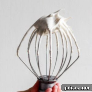 A person holding a whisk with fluffy whipped brown sugar Swiss meringue on it.