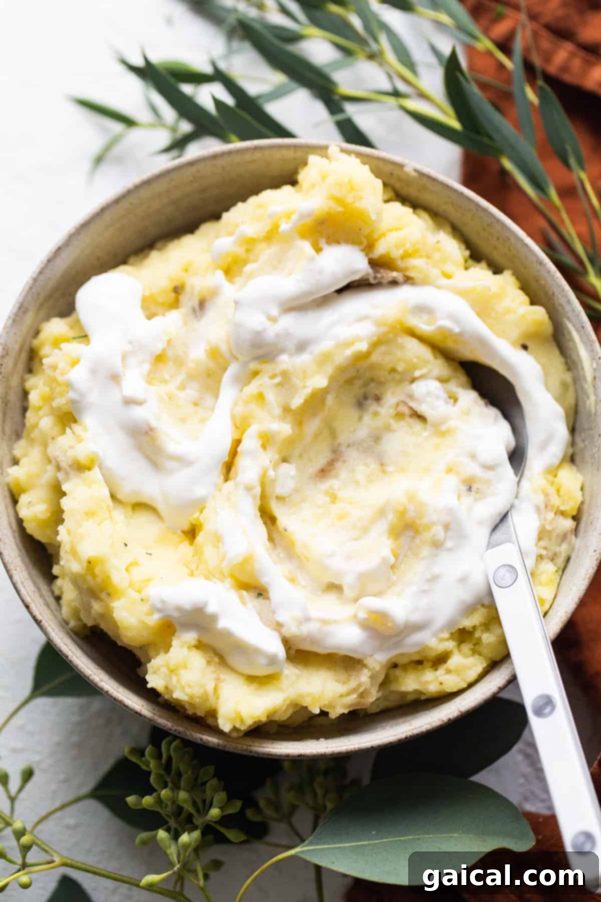 A generous serving of whipped cottage cheese mashed potatoes in a bowl, elegantly garnished with fresh herbs, ready to be enjoyed.