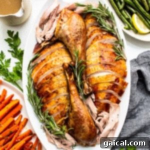Festive Turkey Roulade with Hearty Italian Sausage Stuffing 4 Slices of roasted turkey roulade artfully arranged on a platter, ready for serving at a festive meal.