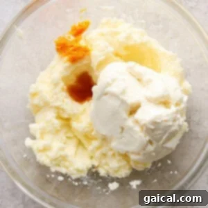 A bowl containing creamy ricotta cheese, orange zest, and vanilla extract, ready to be mixed into the cookie dough.