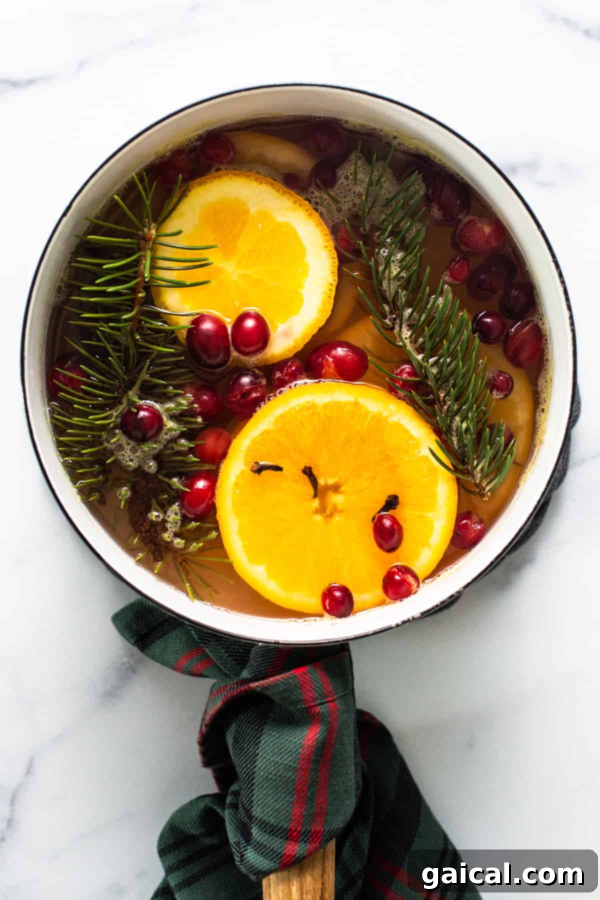 Cozy Holiday Aroma Pot 2 A simmering pot filled with bright orange slices, vibrant cranberries, and fresh sprigs of fir, creating a festive visual and fragrant experience.