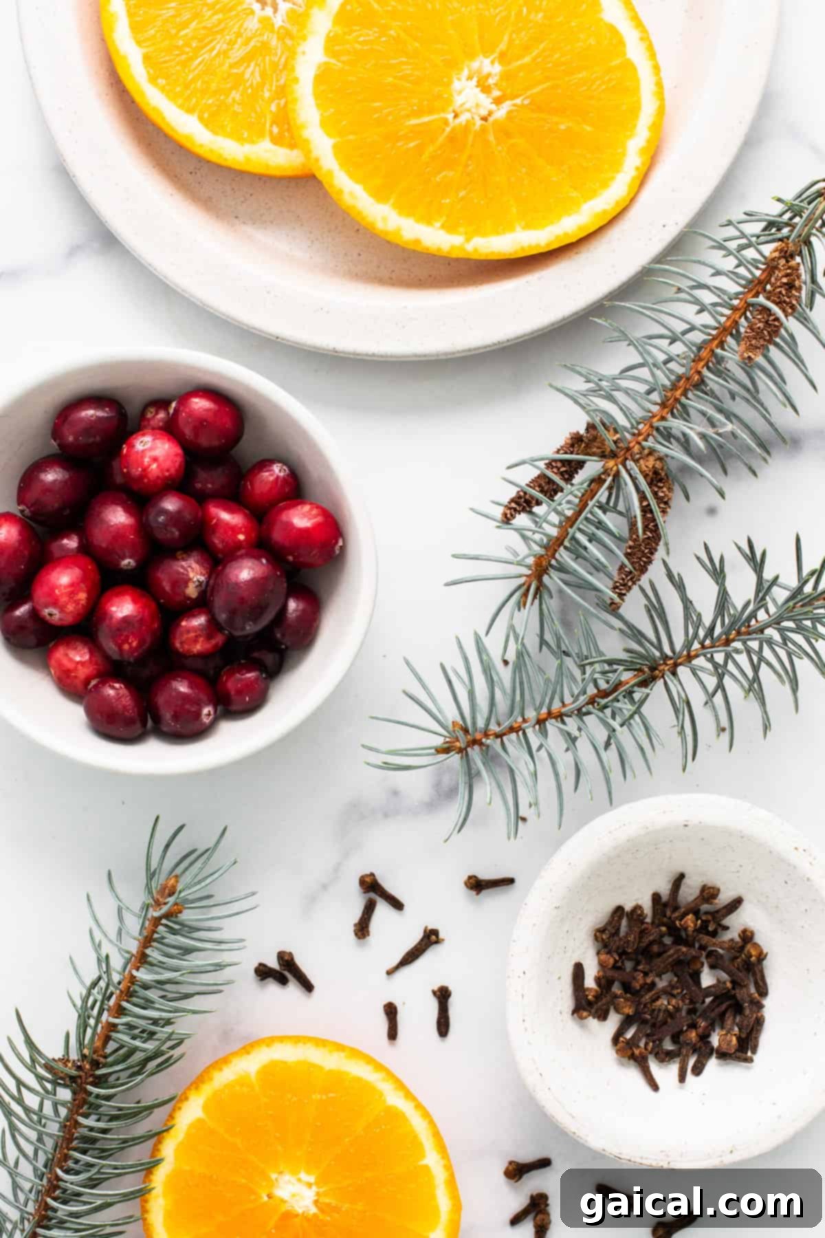 Cozy Holiday Aroma Pot 3 A festive arrangement of fresh cranberries, sliced oranges, and fragrant pine cones laid out on a clean marble surface, ready for a holiday simmer pot.