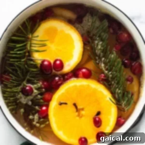 A close-up of a pot with oranges, cranberries and sprigs of fir, capturing the essence of holiday stovetop potpourri.