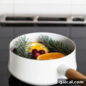 A white pan with oranges and pine needles on top of a stove, ready for simmering.