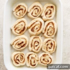 Nutty Brown Butter Banana Bread Cinnamon Rolls 12 Unbaked cinnamon rolls neatly arranged in a white baking dish, ready for their second rise.