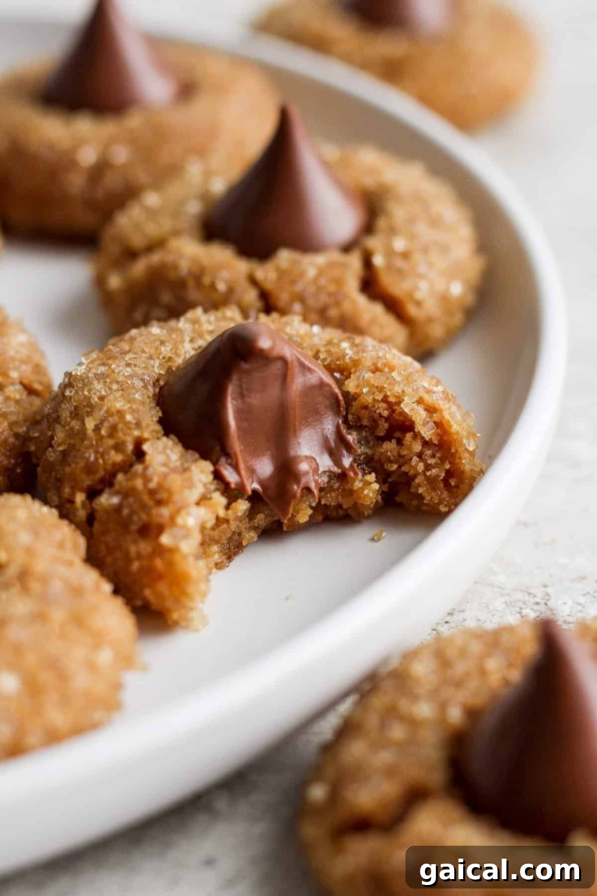 The Fit Foodie December Cooking Collective 2023 5 Close-up of a delicious peanut butter cookie with a bite taken out, showcasing its soft texture and gooey chocolate center.