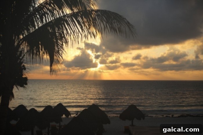 A serene shot of the Iberostar Grand Hotel Paraíso beach, with clear turquoise waters and lounge chairs.