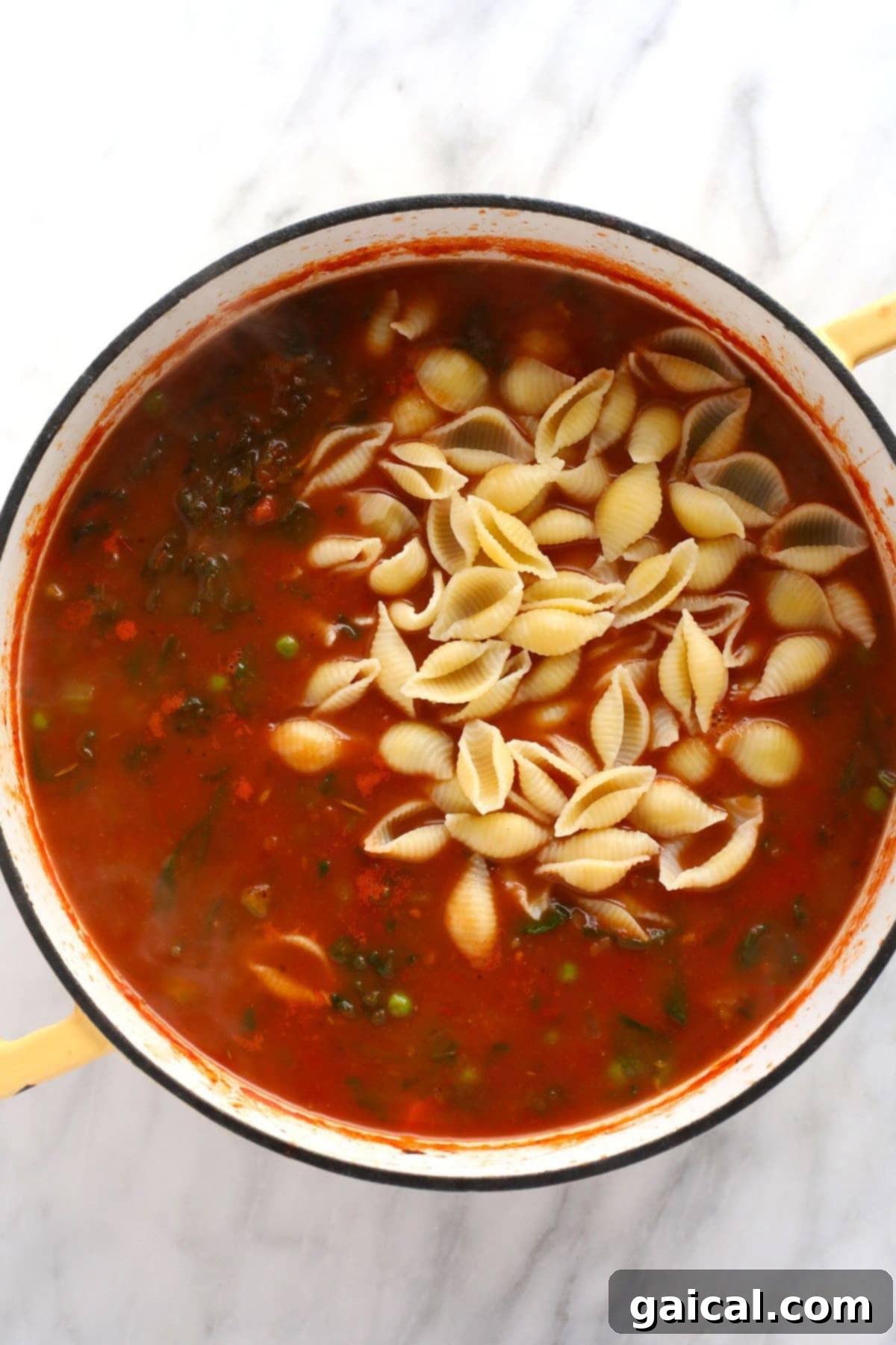 Make this vegetable packed minestrone soup and eat it all week long! Hearty shell noodles perfectly mixed into a rich, vegetable-packed minestrone soup, ready to be served.