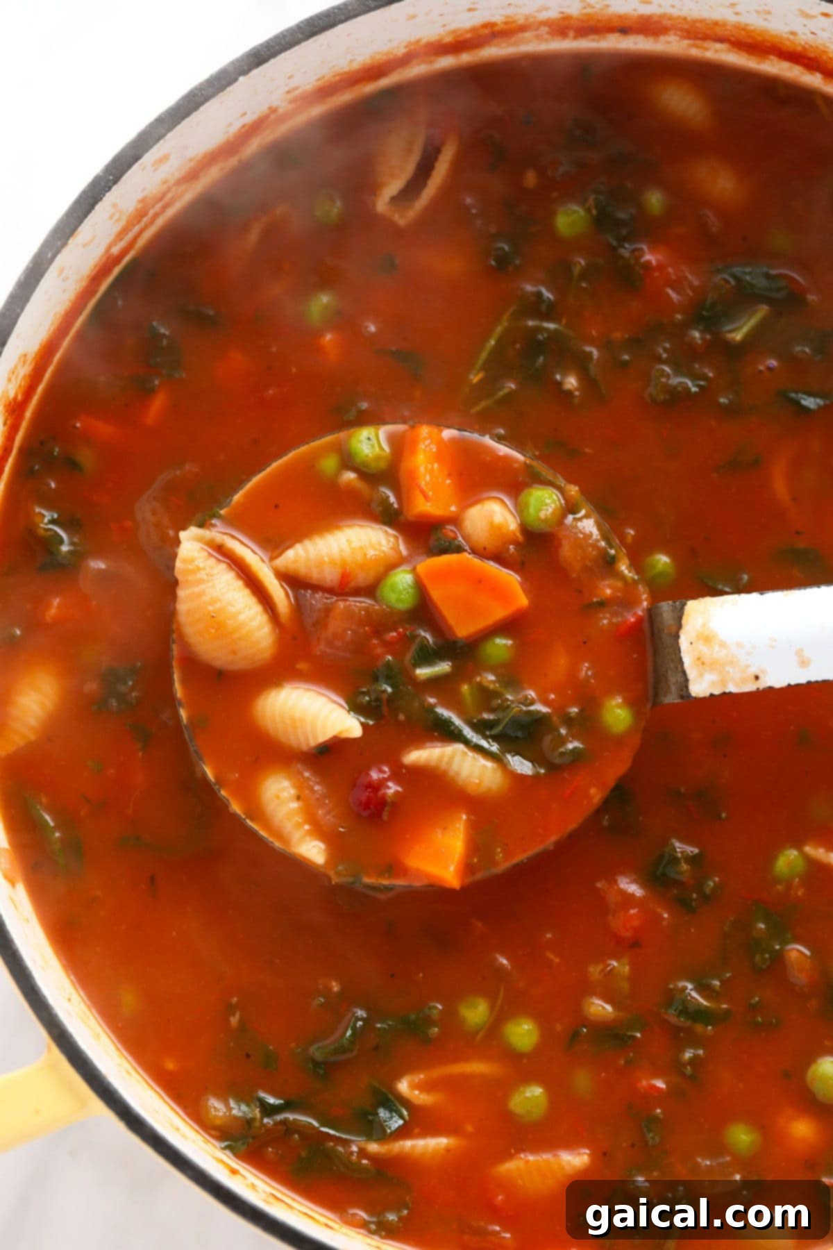 Make this vegetable packed minestrone soup and eat it all week long! A ladle full of rich, thick minestrone soup, showcasing its vibrant vegetables and inviting texture, ready to be served into a bowl.
