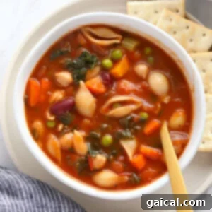A bowl of Minestrone Soup served with crackers.