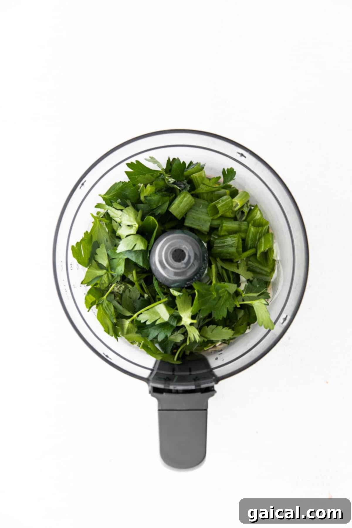 Fresh Ingredients Ready for Green Goddess Dressing in a Food Processor Fresh ingredients for Green Goddess dressing including basil, parsley, garlic, and lemon, arranged around a food processor.