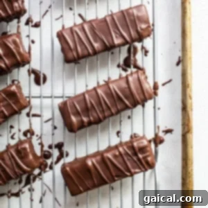 Freshly coated chocolate protein bars arranged neatly on a cooling rack, awaiting their final set.