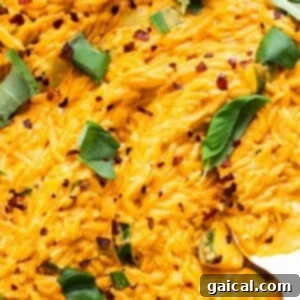 A close up of creamy tomato orzo pasta in a bowl.