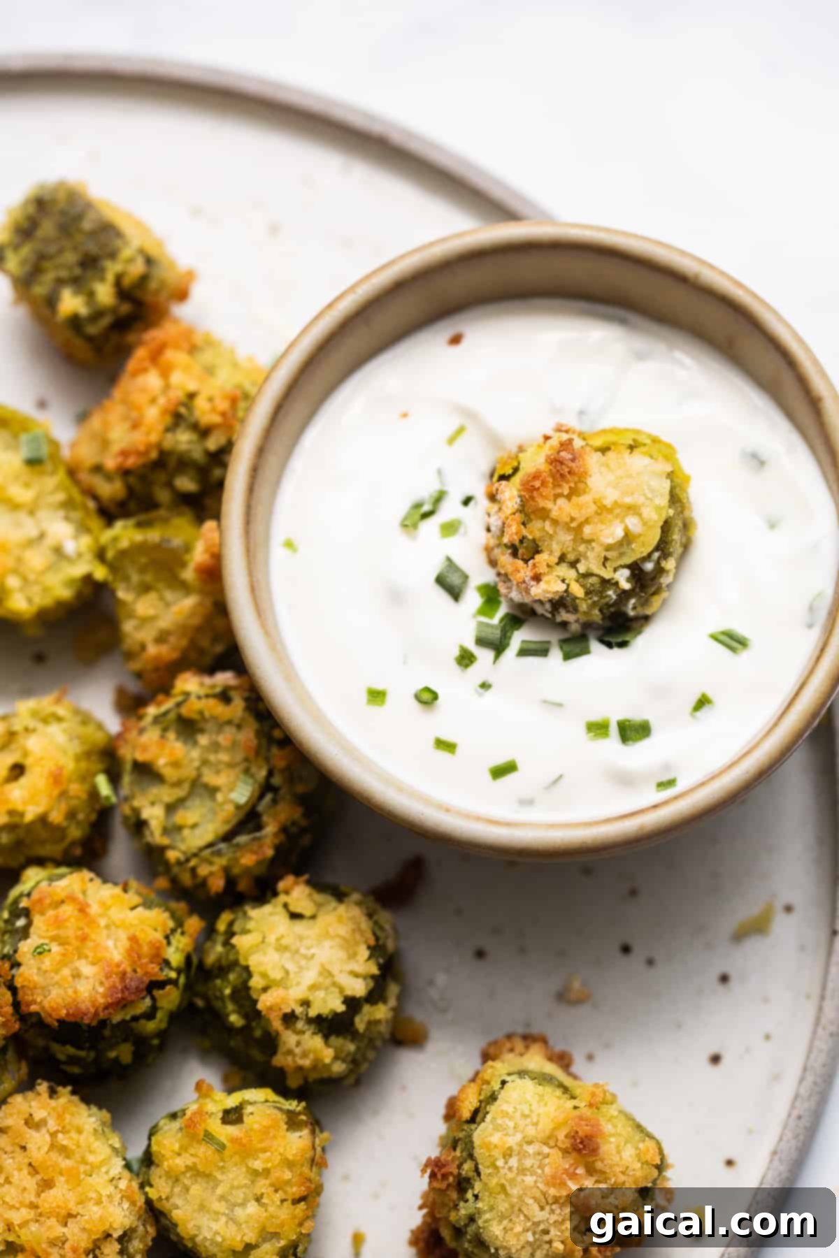 A perfectly plated serving of hot, crispy air fryer pickles accompanied by a vibrant, creamy dipping sauce in a small bowl, artfully arranged and ready to be enjoyed as a gourmet snack or appetizer.