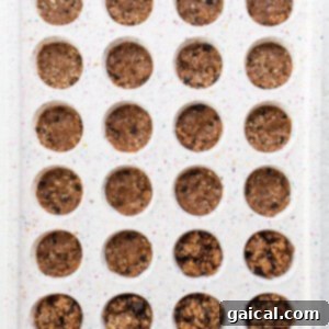 A tray filled with chocolate chip cookie dough.