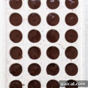 A tray filled with chocolate covered donuts.