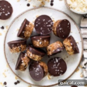A plate topped with chocolate covered granola bars.