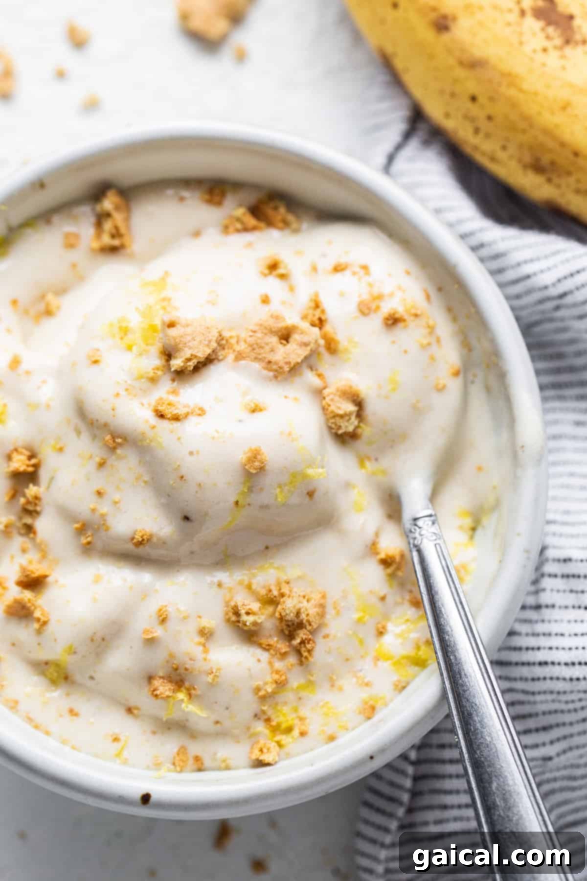 Sunshine Lemon Cheesecake Nice Cream 2 A refreshing bowl of Lemon Cheesecake Nice Cream topped with graham crackers and a spoon.