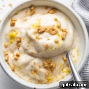 Sunshine Lemon Cheesecake Nice Cream 11 A beautifully scooped bowl of Lemon Cheesecake Nice Cream topped with graham crackers and lemon zest.