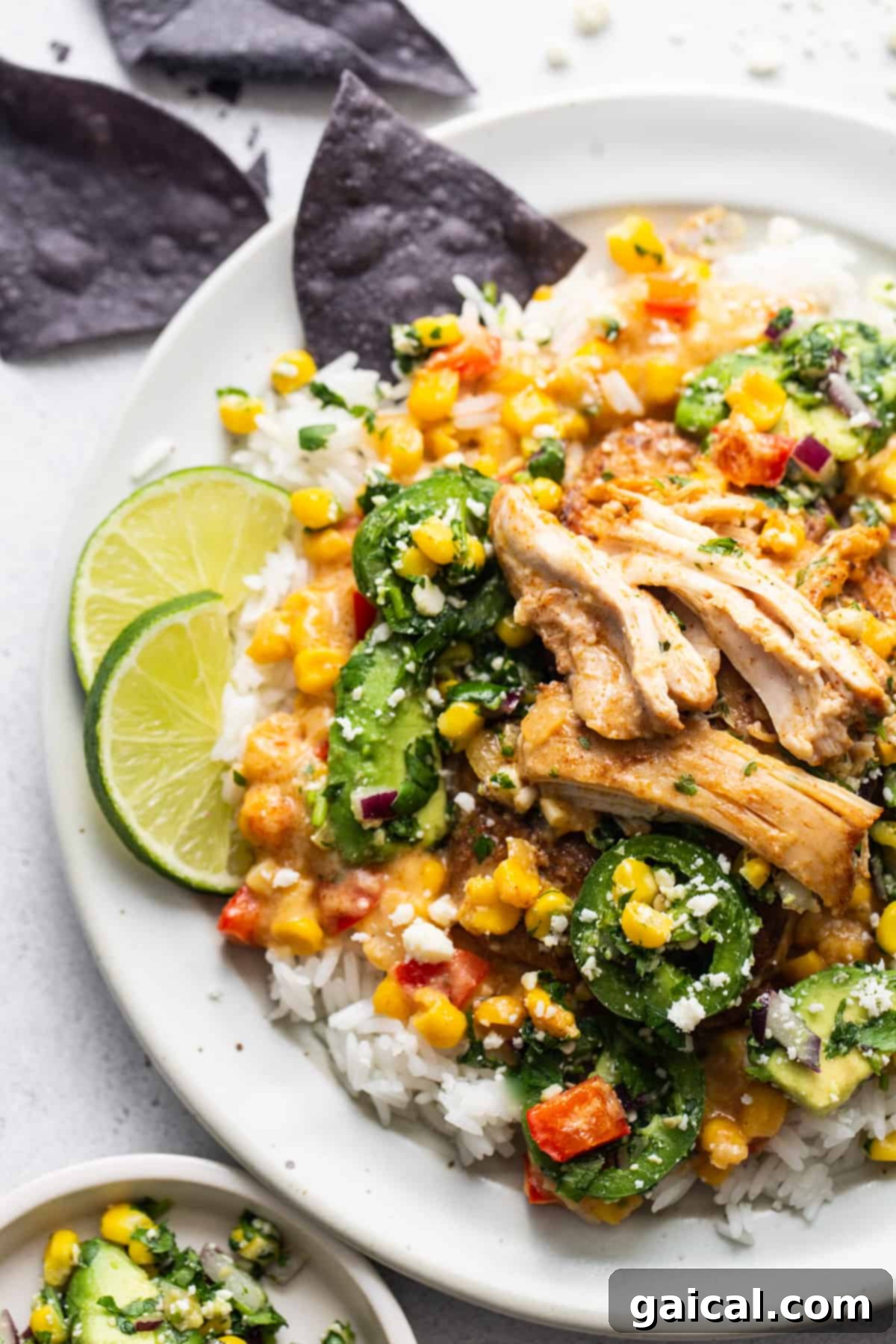 A serving of creamy street corn chicken on a white plate, garnished with fresh cilantro and avocado slices.