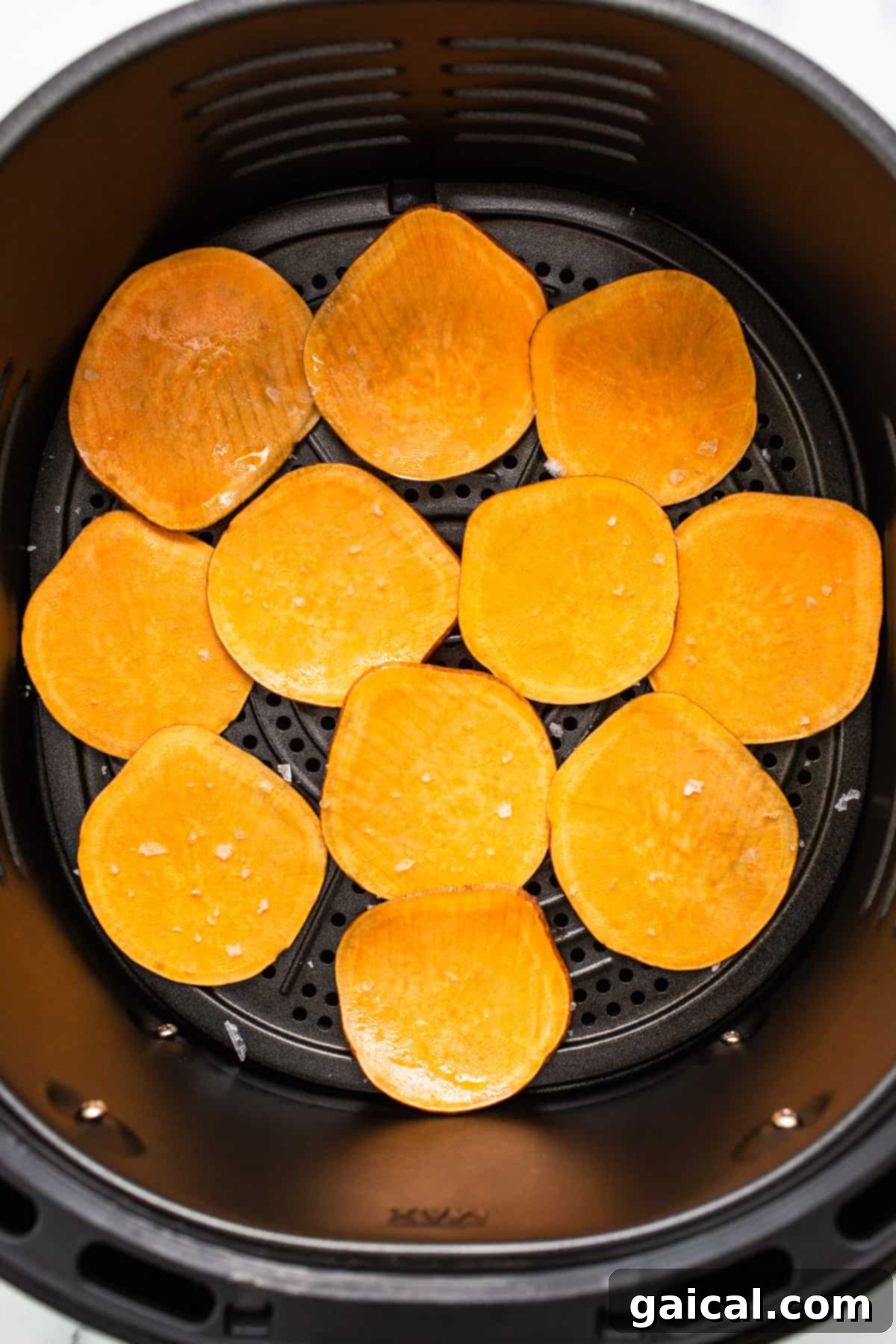 Thinly sliced sweet potato rounds neatly arranged in an air fryer basket, ready for cooking.