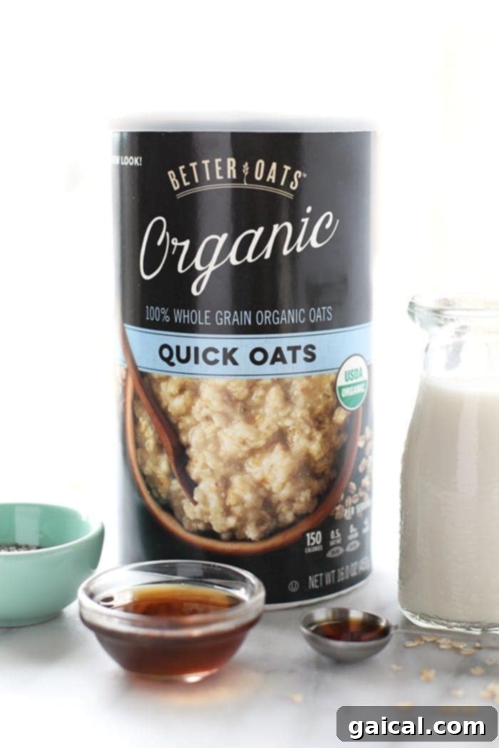 A close-up shot of a steaming bowl of vegan Chocolate Chip Cookie Dough Oatmeal, showing its creamy texture and chocolate chips, ready for a nutritious start to the day.