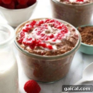 Chocolate raspberry overnight oats with whipped cream and raspberries.