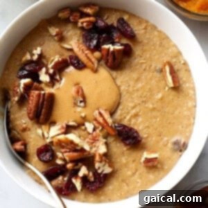 A visually appealing image of Slow Cooker Oatmeal with cranberries and pecans, representing the recipe card thumbnail.