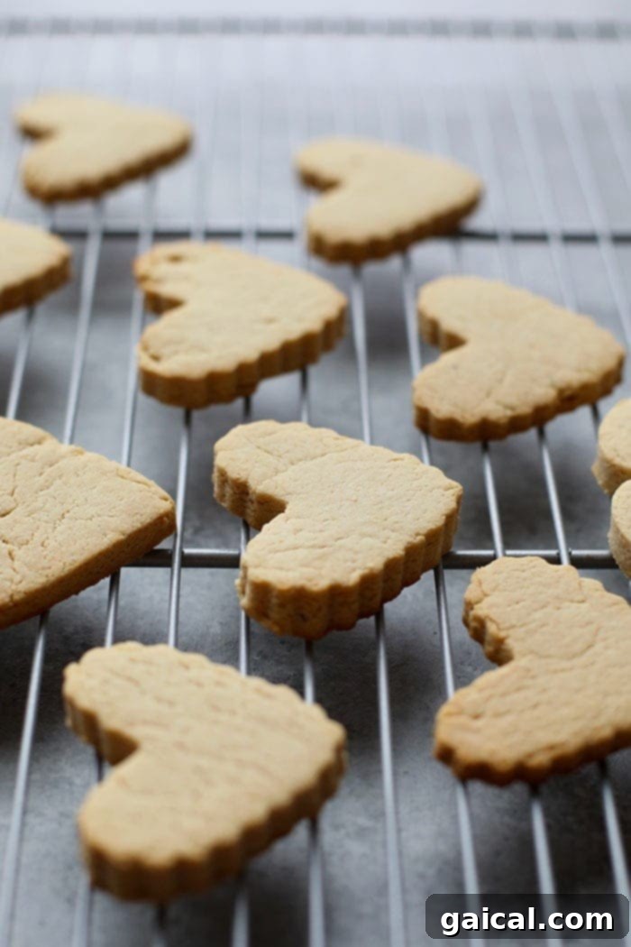 You would seriously never know these are HEALTHY sugar cookies. Our almond flour sugar cookies are made with 8 simple ingredients and guess what? There's no white sugar involved! Healthy sugar cookies cooling on a wire rack