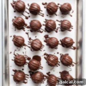 Chocolate truffles on a baking sheet.