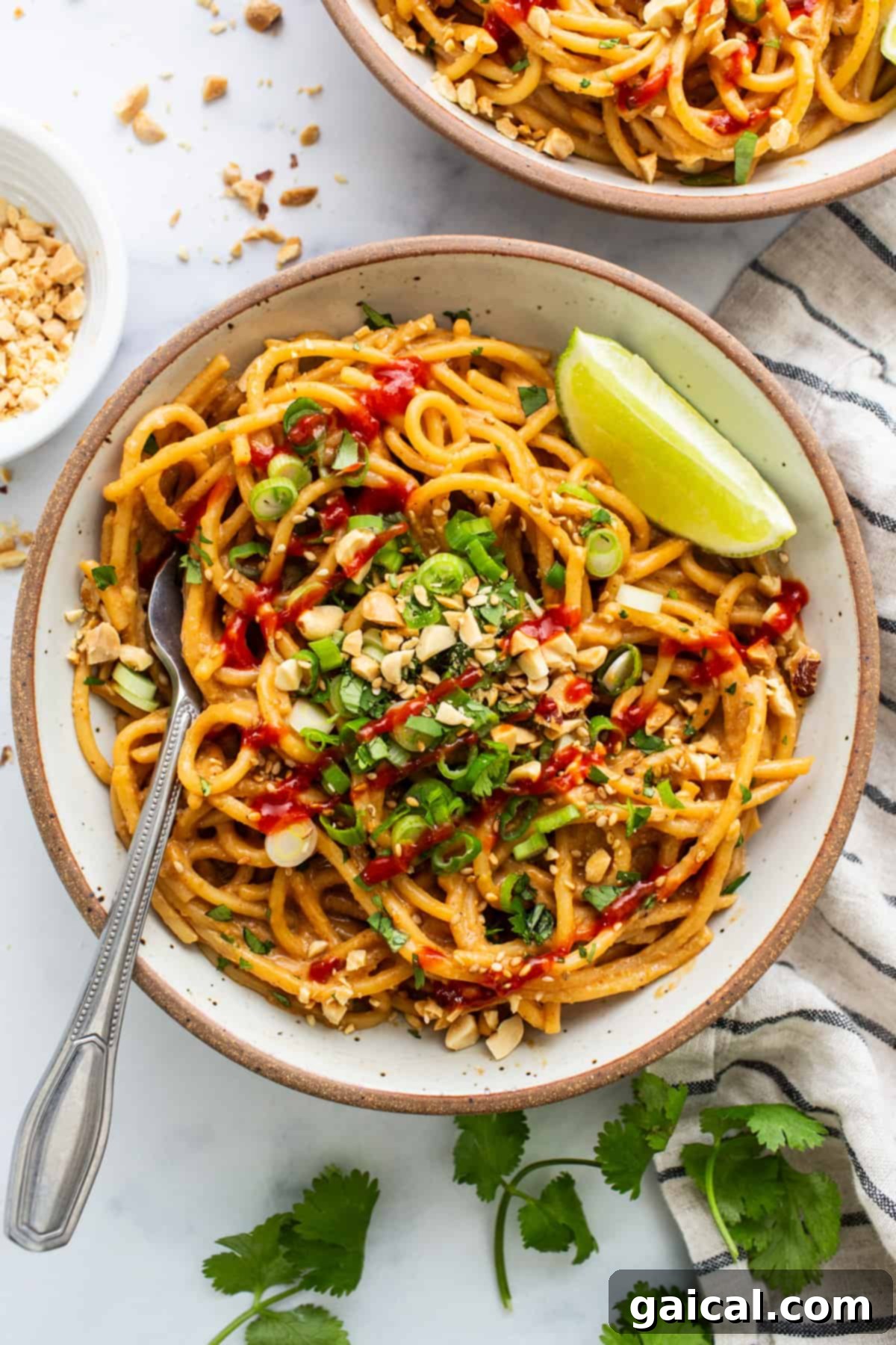 Two aesthetically pleasing bowls of Asian-inspired peanut noodles, garnished with fresh herbs and chopped nuts, beautifully presented for a quick and satisfying meal.