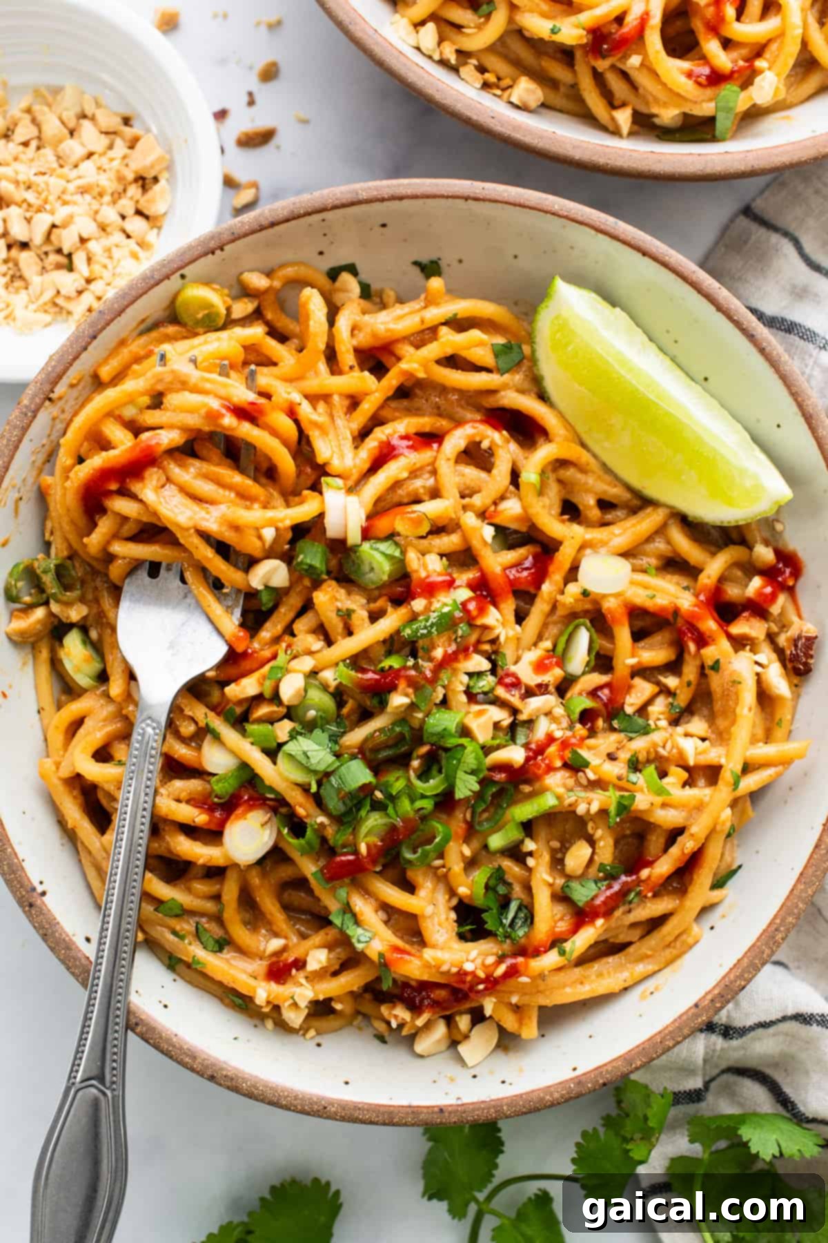 A single bowl of savory Thai peanut noodles with a fork resting within, invitingly showcasing the dish's rich texture and readiness for enjoyment.