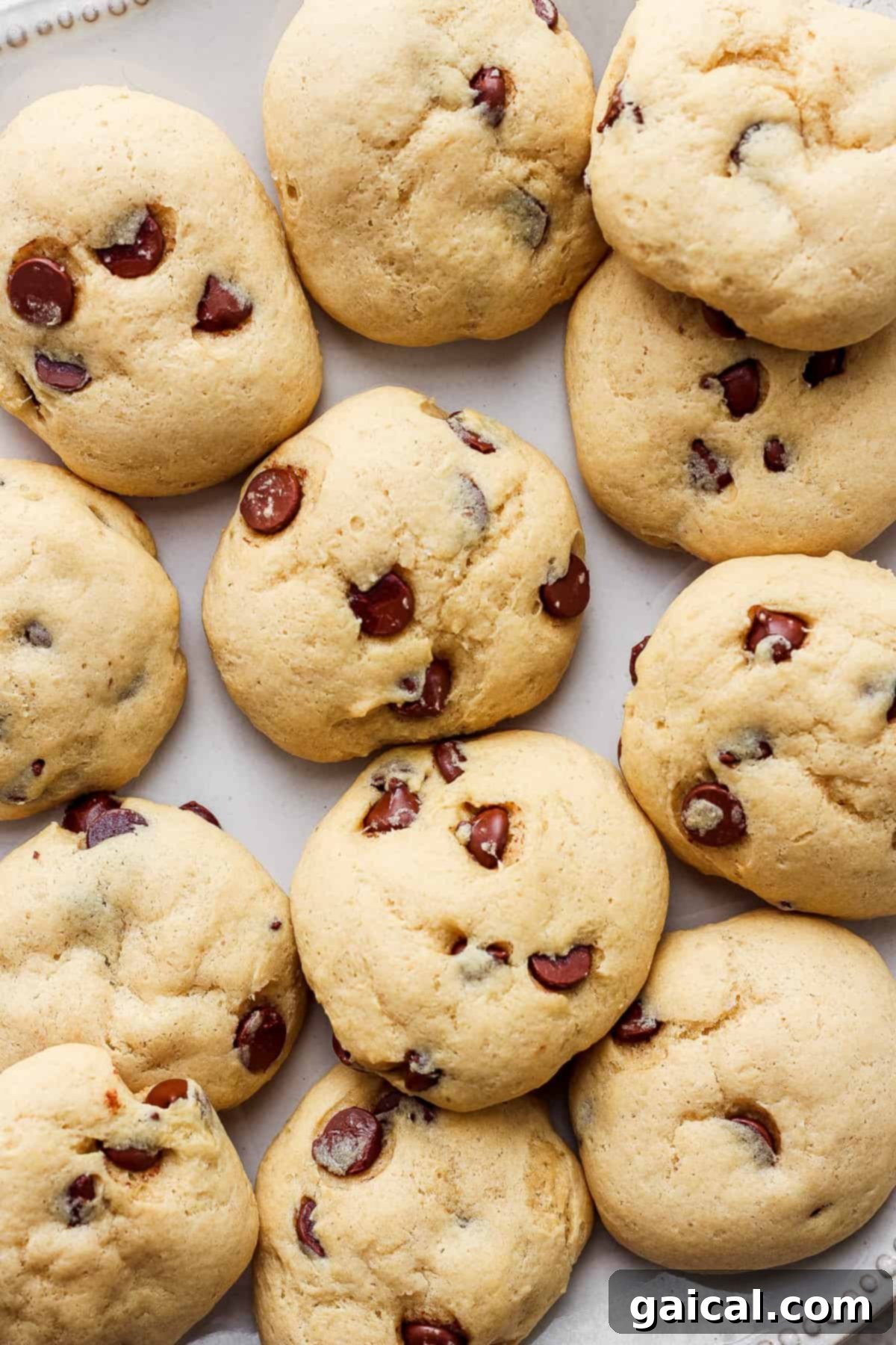 Freshly baked cranberry chocolate chip cookies arranged elegantly on a pristine white plate, showcasing their golden edges and inviting texture.