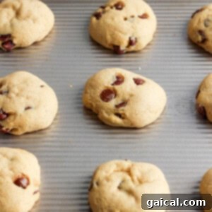 Freshly baked cookies, golden brown at the edges and still warm from the oven, resting on a baking sheet.