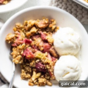A close-up of a serving of rhubarb crisp in a bowl, topped with a generous scoop of vanilla ice cream and garnished with fresh raspberries.