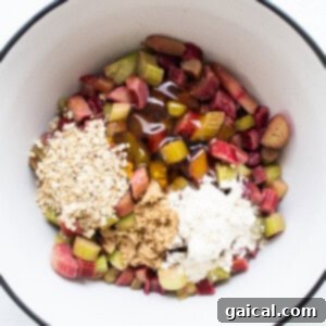 Freshly chopped rhubarb and quick-cooking oats in a mixing bowl on a white surface, ready for the crisp filling.