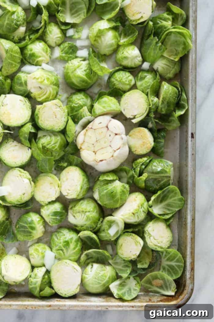 Master the art of roasting Brussels sprouts with this simple guide for perfectly cooked, crispy results every time! Raw, halved Brussels sprouts and a whole garlic head spread evenly on a parchment-lined baking sheet, ready for roasting.