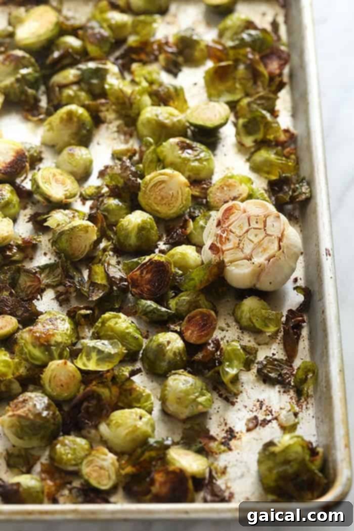 Master the art of roasting Brussels sprouts with this simple guide for perfectly cooked, crispy results every time! A baking sheet filled with perfectly roasted Brussels sprouts, golden-brown and slightly charred, fresh out of the oven, steam rising.