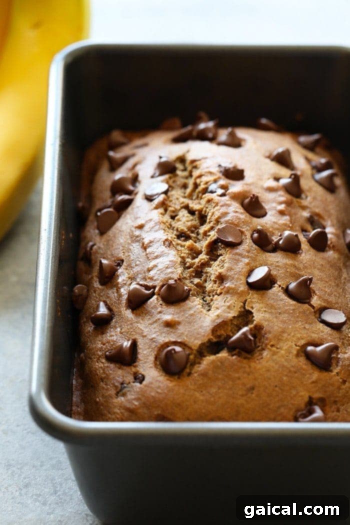 Deliciously Healthy Coconut Oil Banana Bread 2 Golden brown loaf of healthy banana bread with melted dark chocolate chips on top, set on a rustic surface.