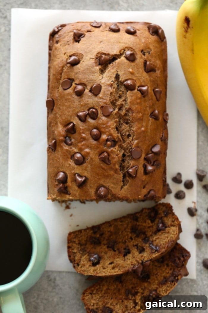 Our healthy banana bread recipe is made with coconut oil, white whole wheat flour, bananas, and dark chocolate chips! Perfectly sliced healthy banana bread revealing a moist interior, studded with dark chocolate chips.