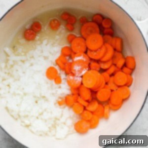Diced onions and sliced carrots with seasoning in a cooking pot.