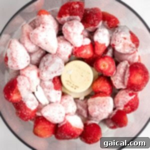 Strawberry Soft Swirl 8 A food processor bowl filled with whole strawberries and scoops of vanilla ice cream, viewed from above.