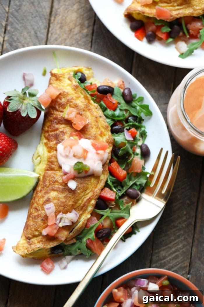 Garden Fresh Omelet 6 A freshly cooked veggie omelette, generously topped with black beans and a dash of vibrant salsa, presented as a hearty and healthful meal.