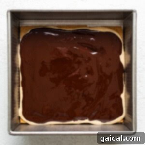 A square baking dish containing a layer of creamy filling topped with a glossy layer of melted chocolate and finished with graham crackers.