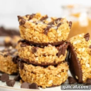 A stack of three granola clusters coated with chocolate. They are topped with flakes of salt and surrounded by chocolate chips.