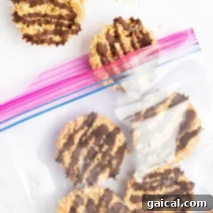 A clear plastic bag with a pink zip seal contains round cookies drizzled with chocolate. Two cookies are placed outside the bag.